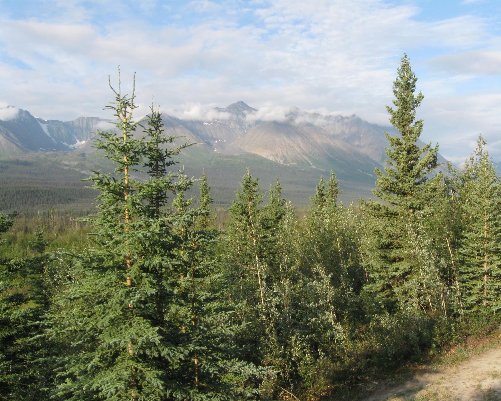 Haines Junction, Canada