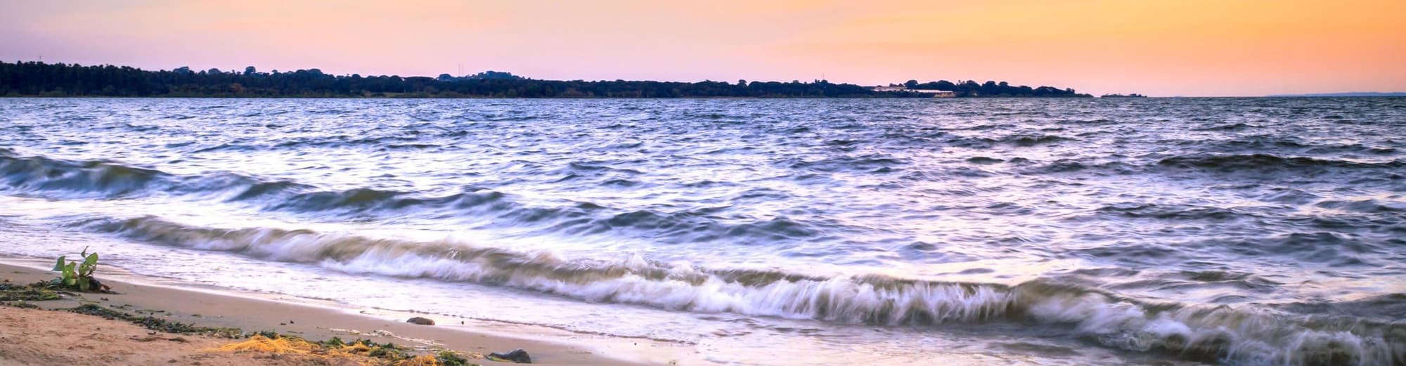 انتبه, اوگاندا