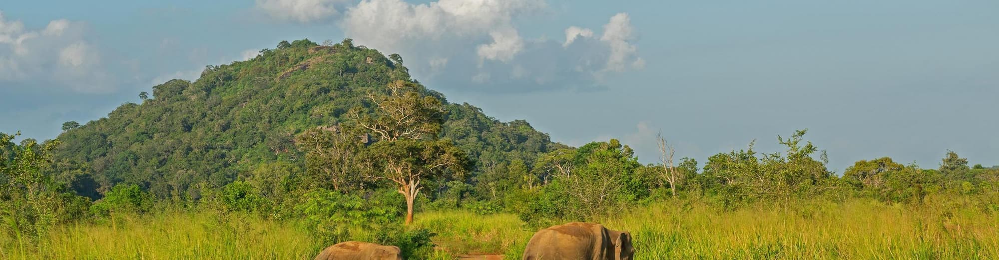 Habarana, Šri Lanka