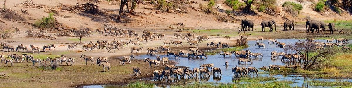 Makgadikgadi-Pfannen (Nationalpark), Botswana