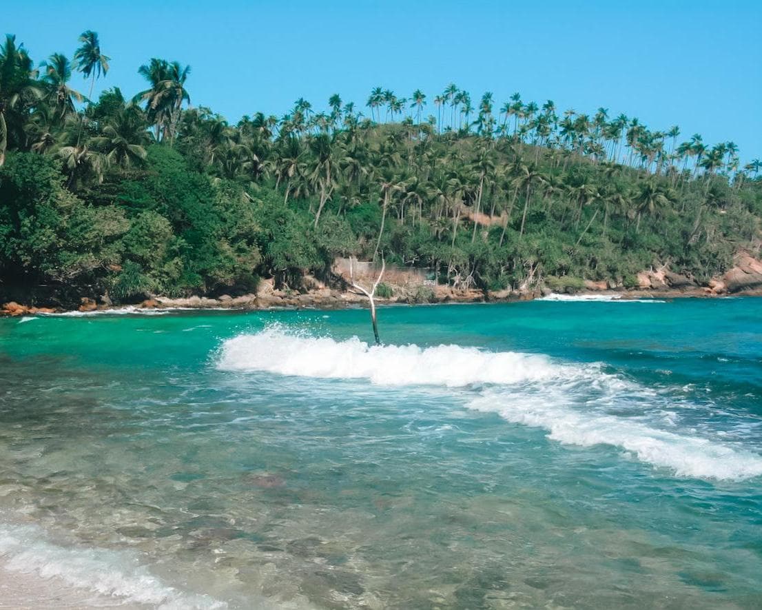 Mirissa, Sri Lanka