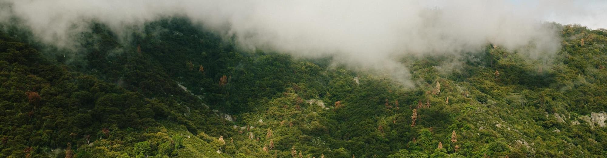Parco nazionale di Sequoia e Kings Canyon CA, Stati Uniti d'America