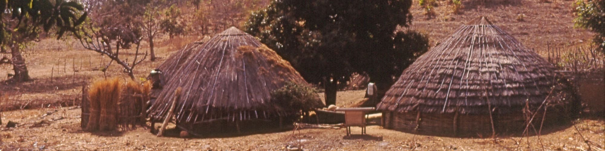 نغيكوخي, السنغال