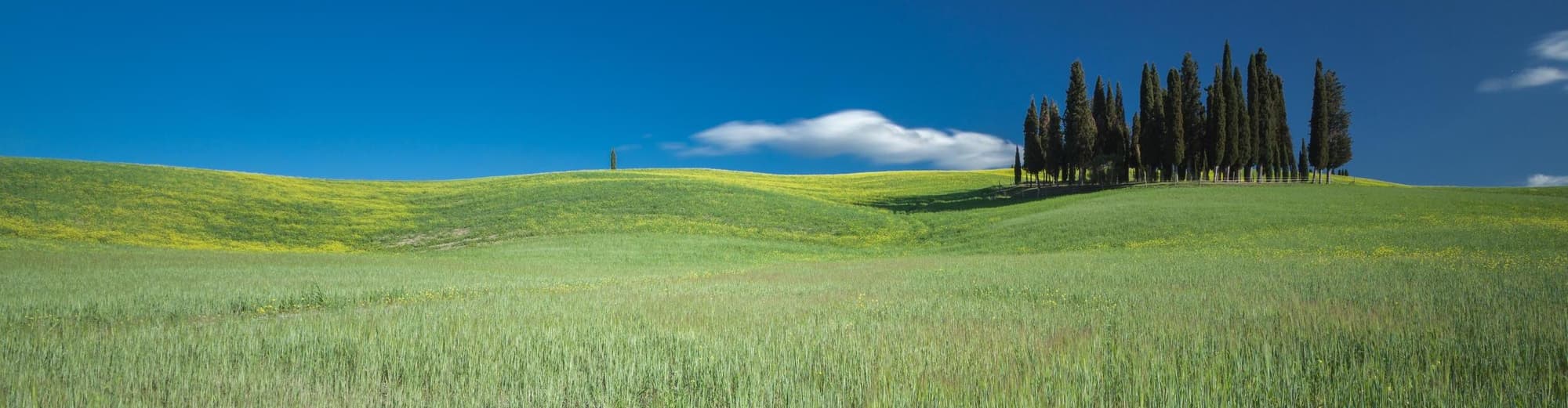 San Quirico d'Orcia, Italië
