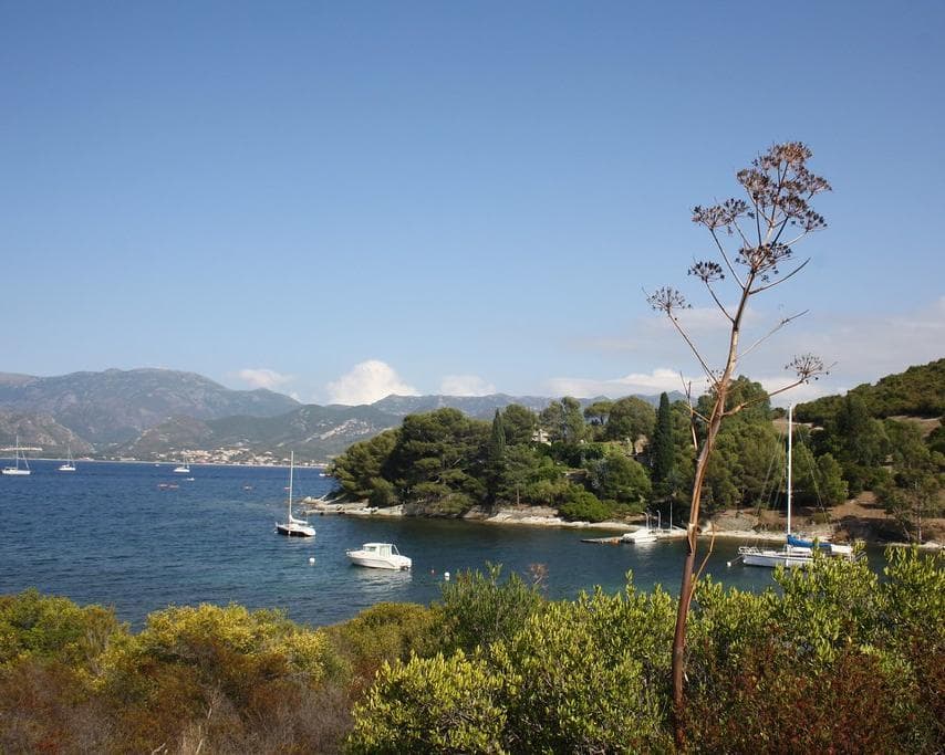 Saint-Florent, Francia