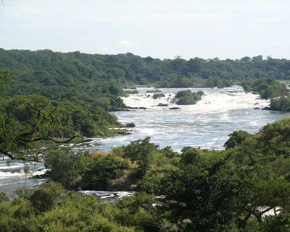 Μασίντι, Ουγκάντα