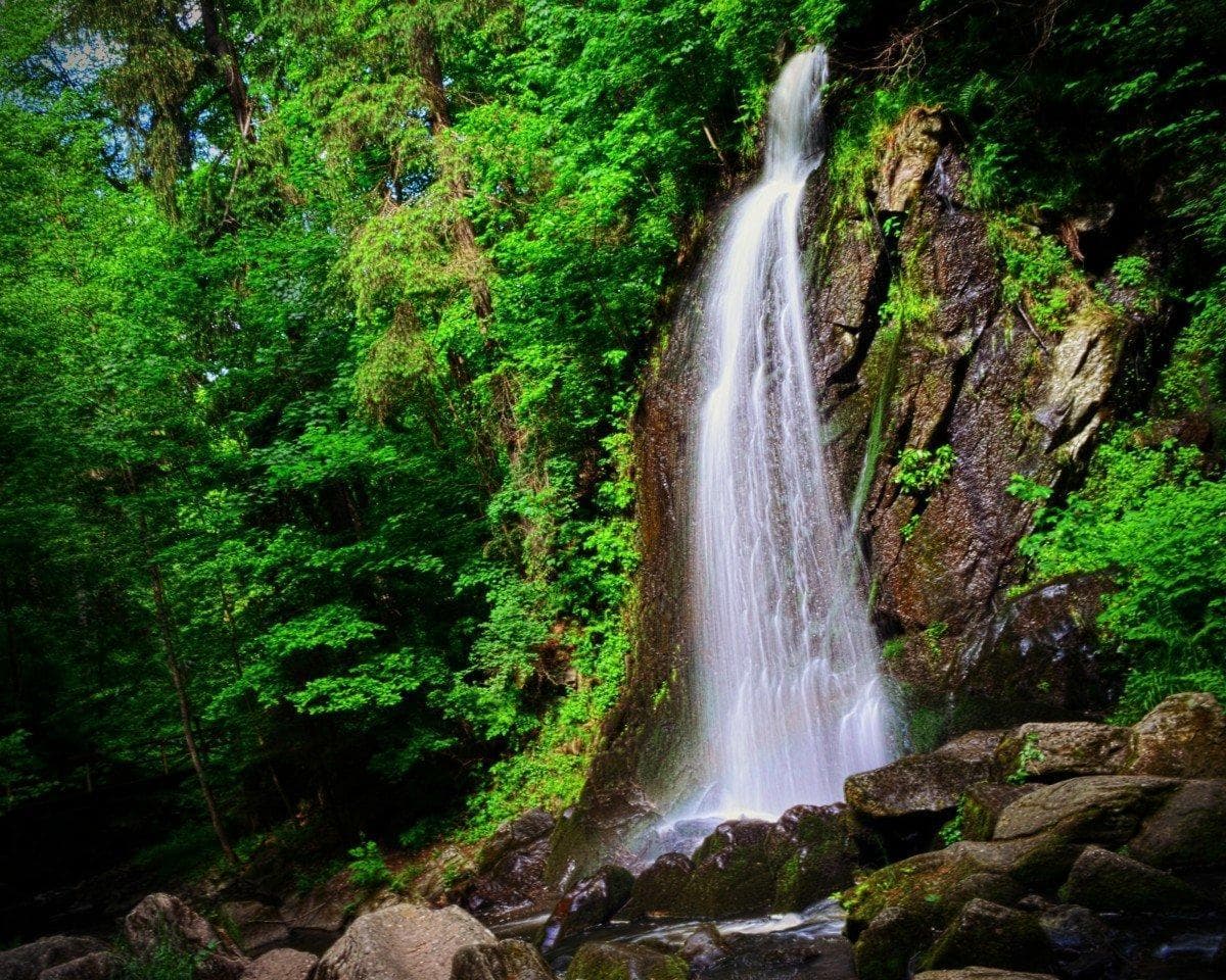 Bohemian Forest, Czech Republic