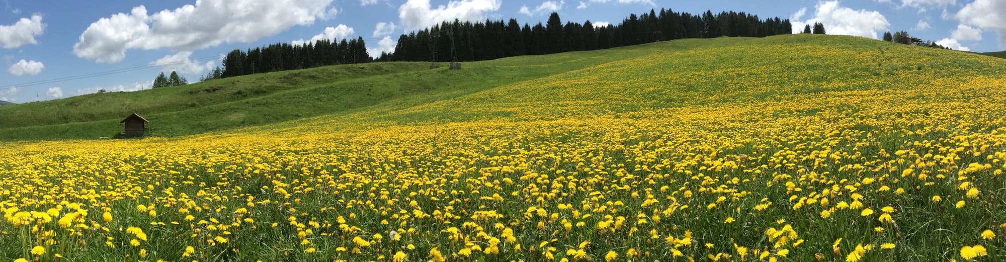 Asiago, Veneto, Italia