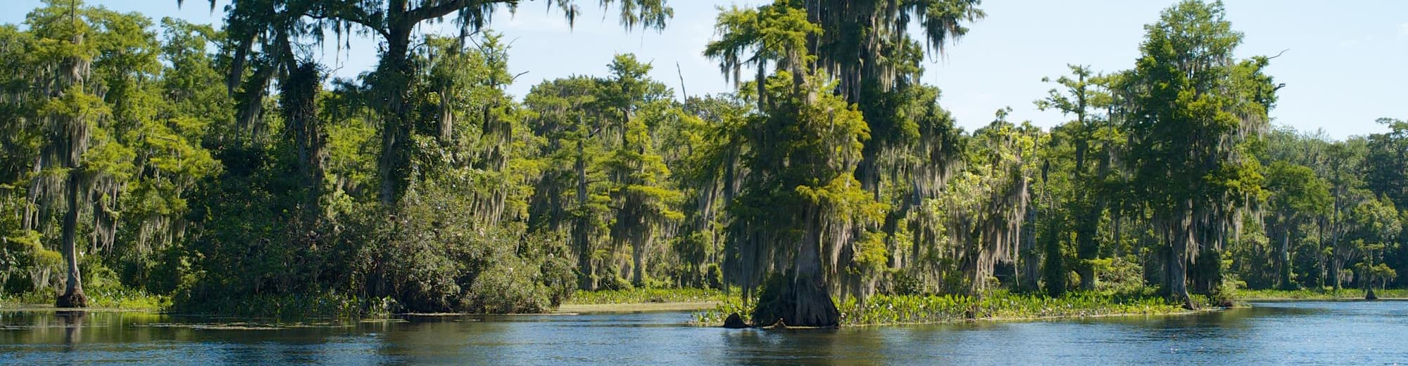 Tallahassee, Vereinigte Staaten von Amerika