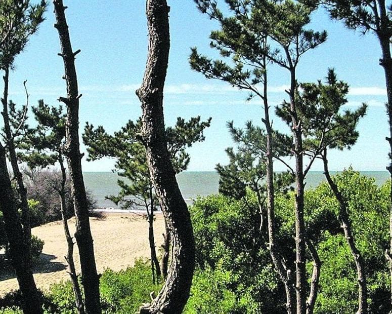 Mar de las Pampas, Argentina