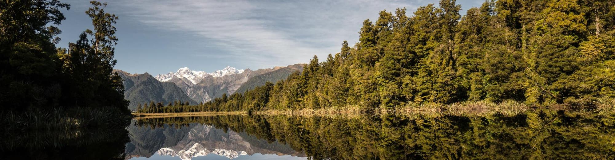 هاميلتون, نيوزيلاندا