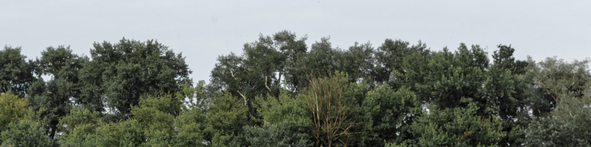 Sankt Andrä, Ungarn