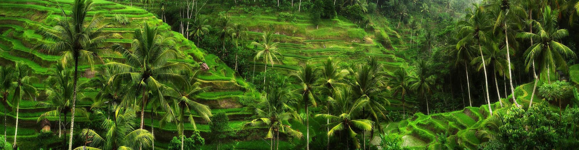 Baturiti (Province), Indonesia