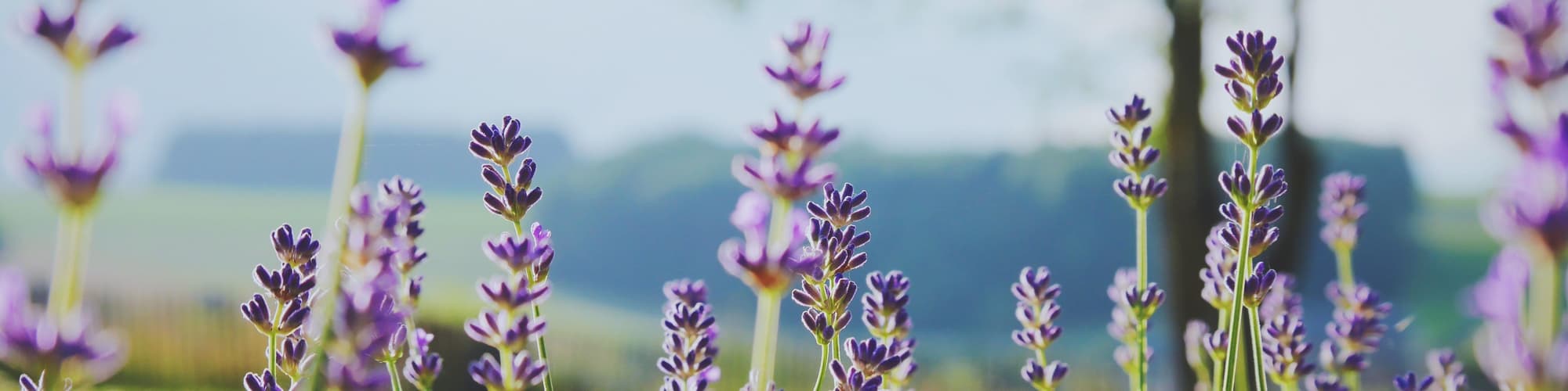Marche-en-Famenne, Belgium