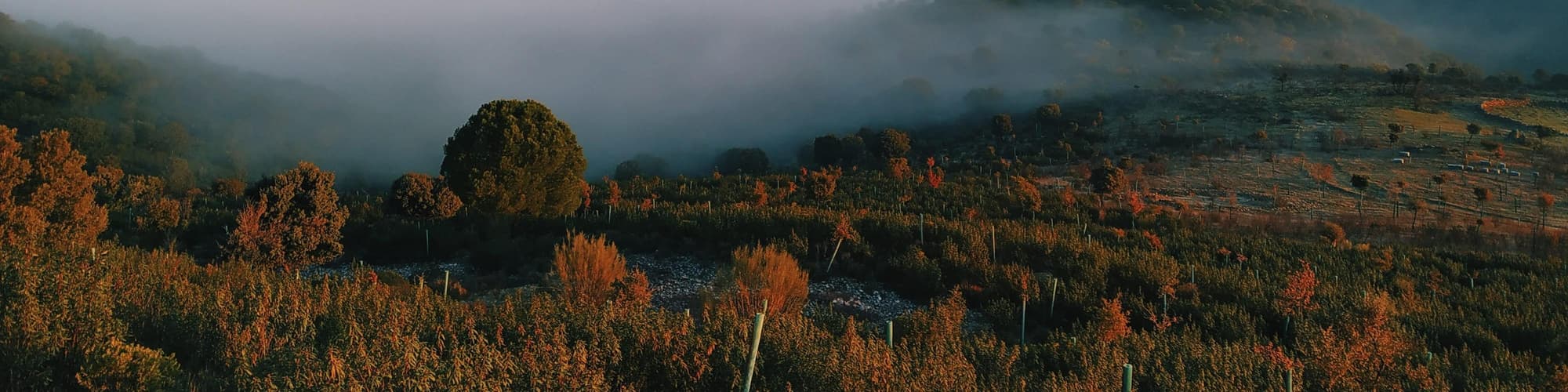 Badajoz (Provincia), España