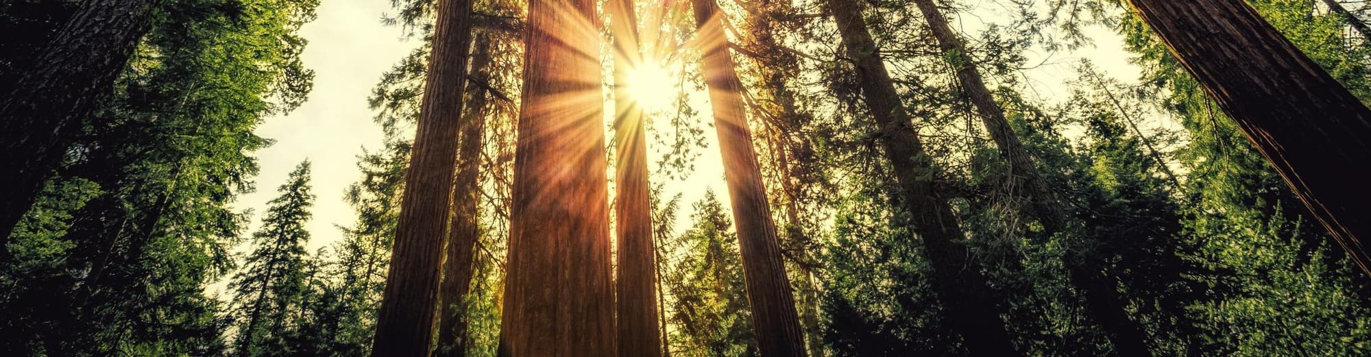 ماريبوسا كاليفورنيا, الولايات المتحدة الأمريكية