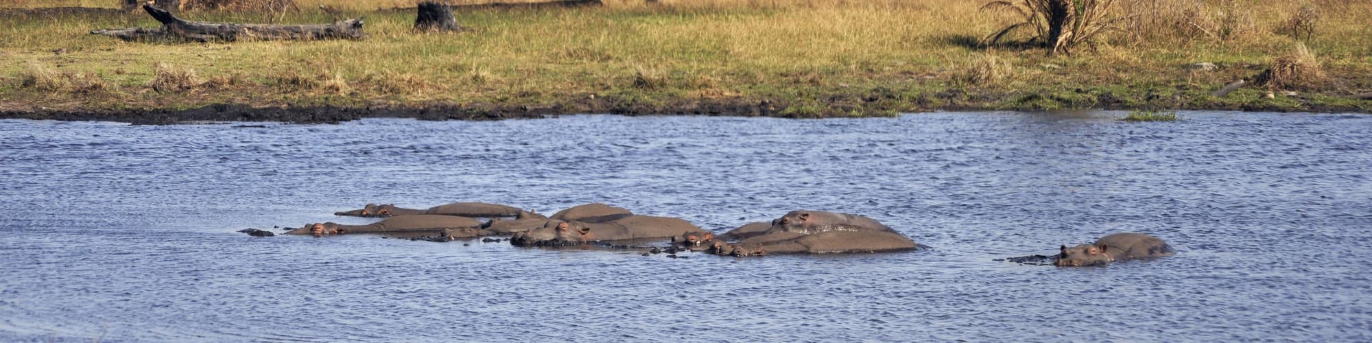iSimangaliso Feuchtgebiet Park, Südafrika