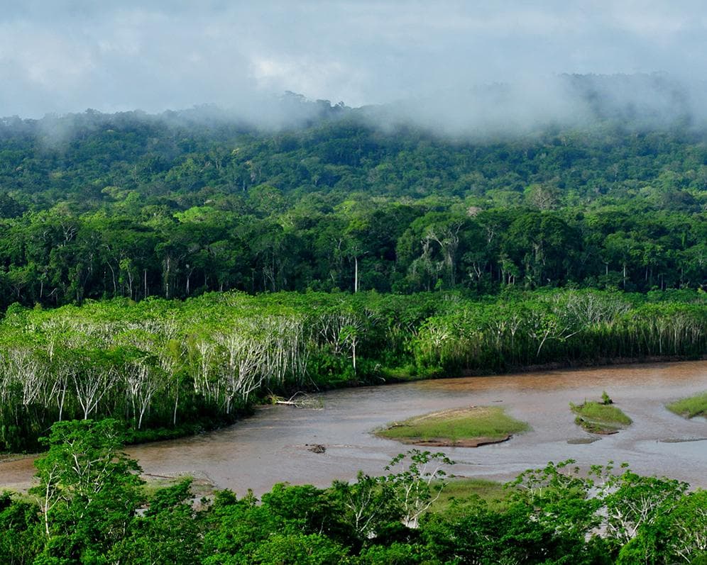 Parque nacional Madidi, Bolivia