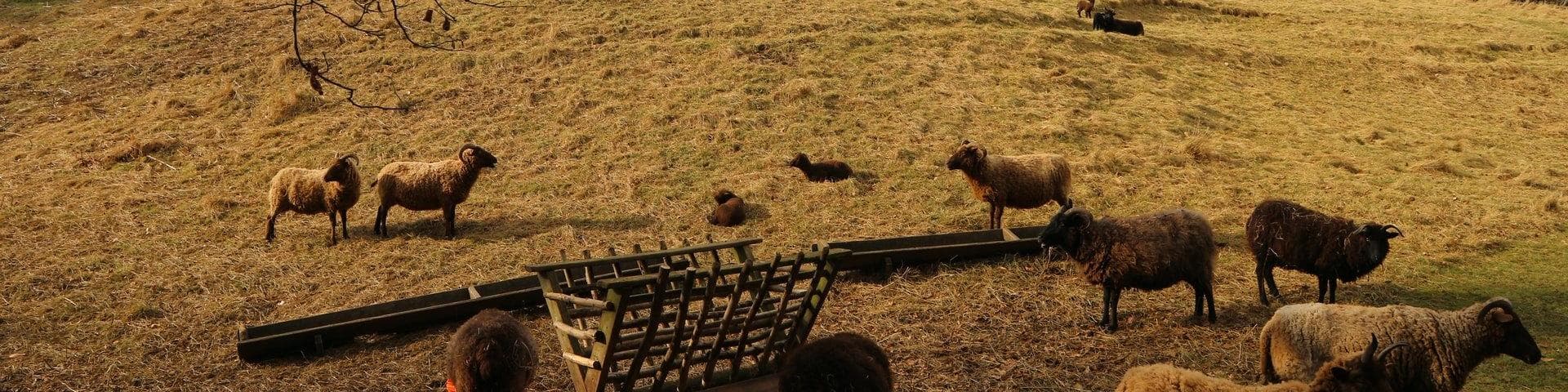 Durham, United Kingdom