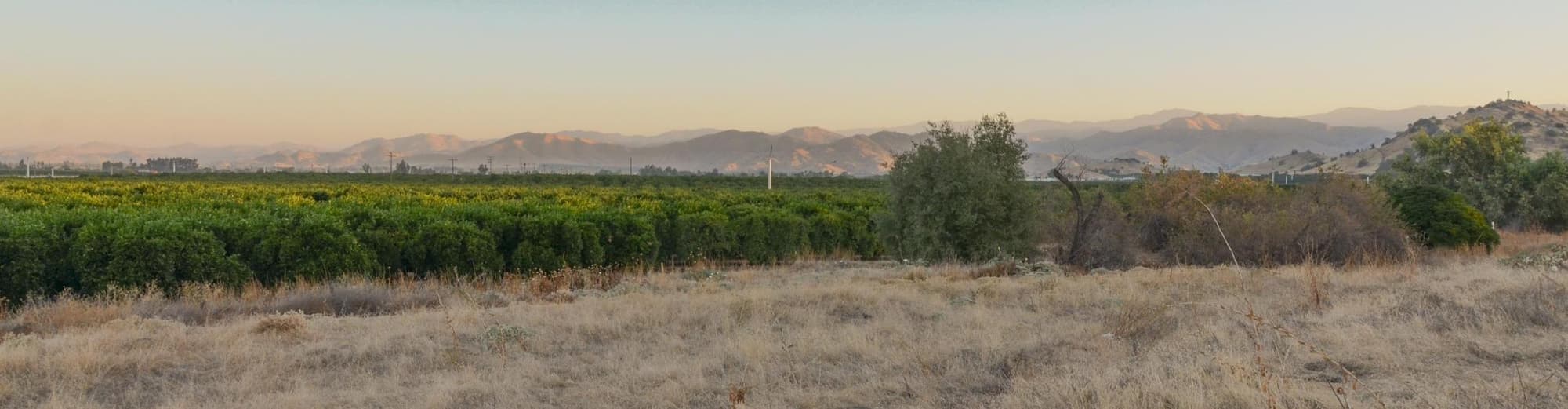 Visalia CA, Stati Uniti d'America