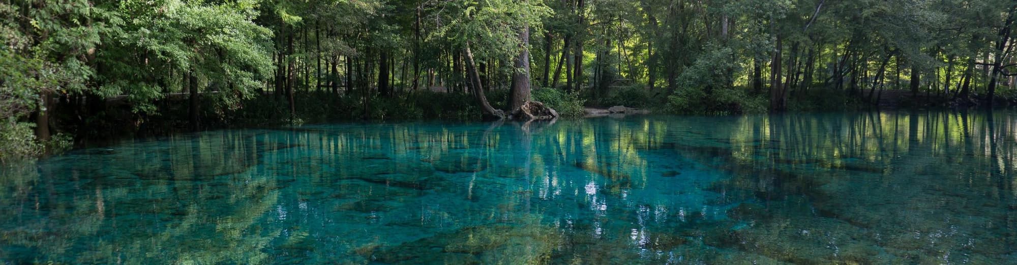 Crystal River FL, Vereinigte Staaten von Amerika