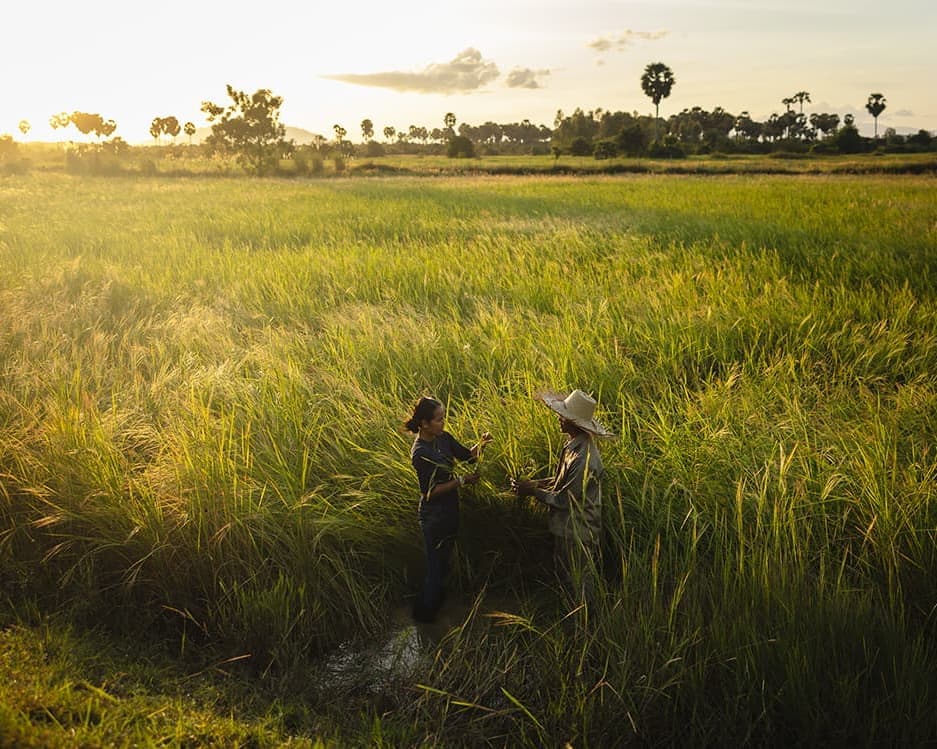 Privatrundreise „Battambang & Kambodschas Landleben“