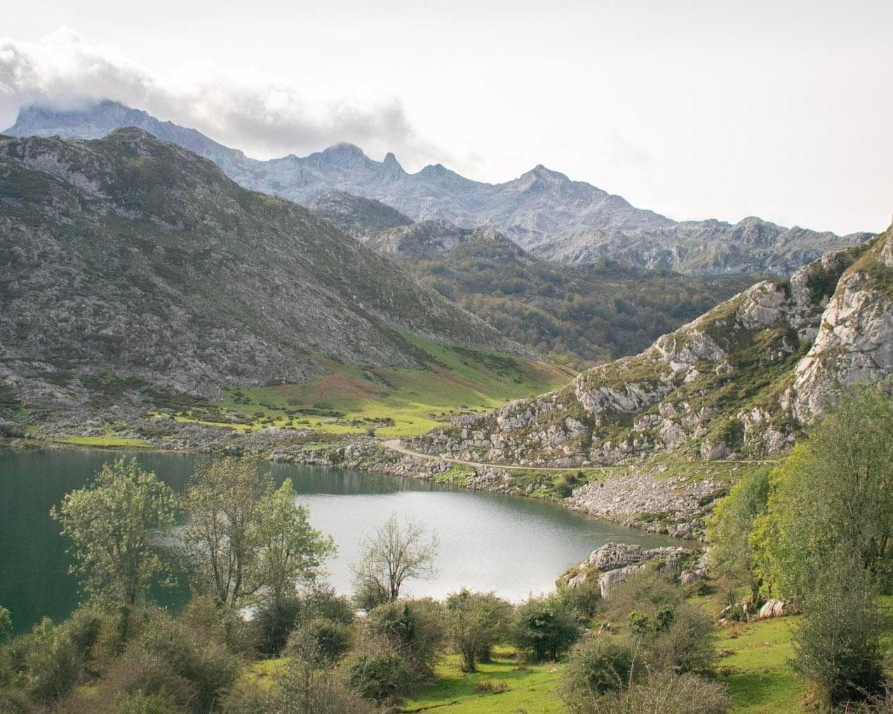 TRANSCANTABRICO GRAN LUJO - RUTA DEL NORTE - RUTA CORTA (Oviedo-San Sebastián) 2027