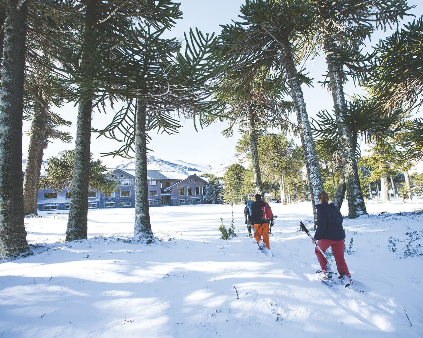 Corralco Resort de Montaña - Naturaleza y bienestar en la Araucanía 
