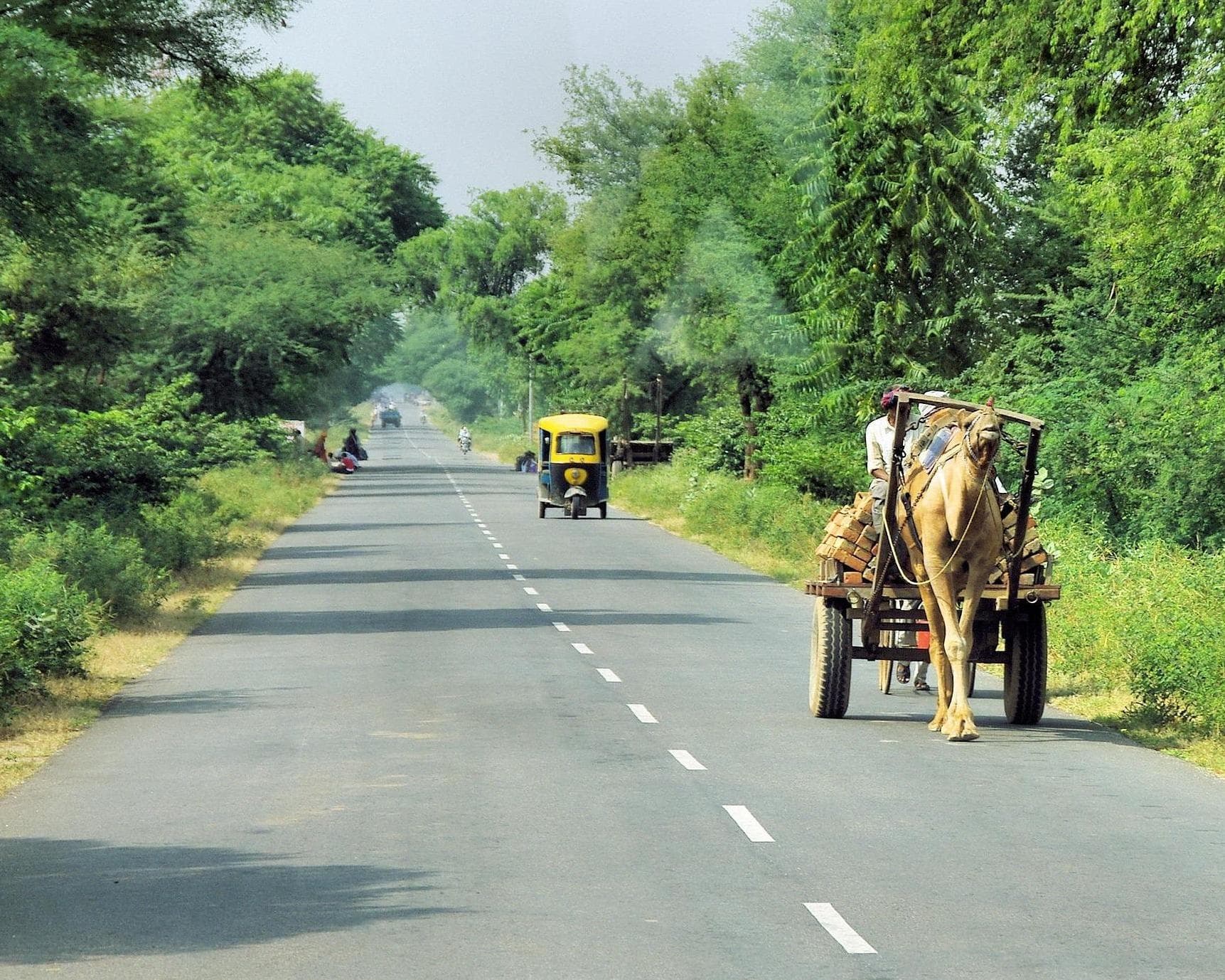 Private Kurztour "Delhi & Udaipur – Glanzlichter Nordindiens" 