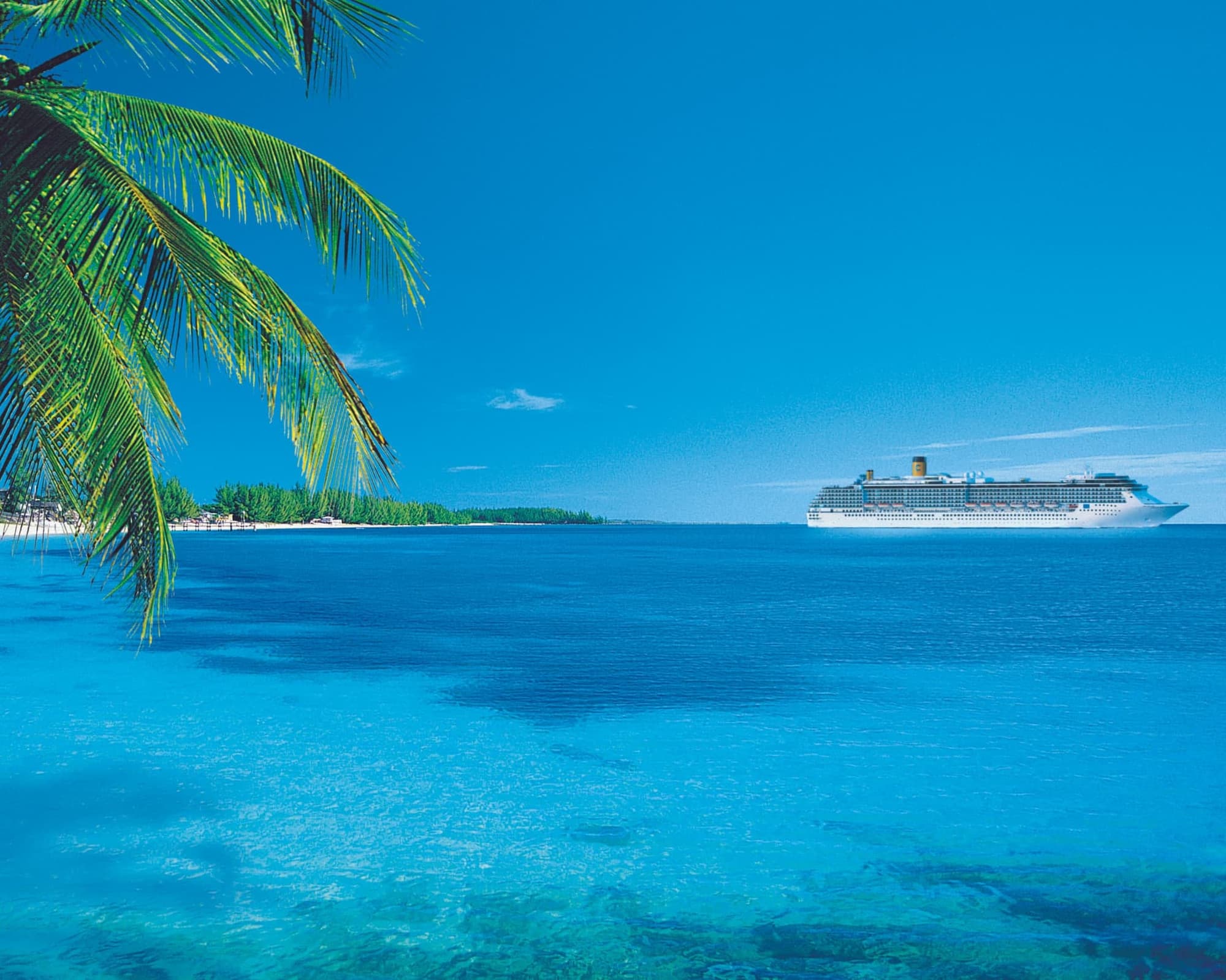 COSTA FASCINOSA