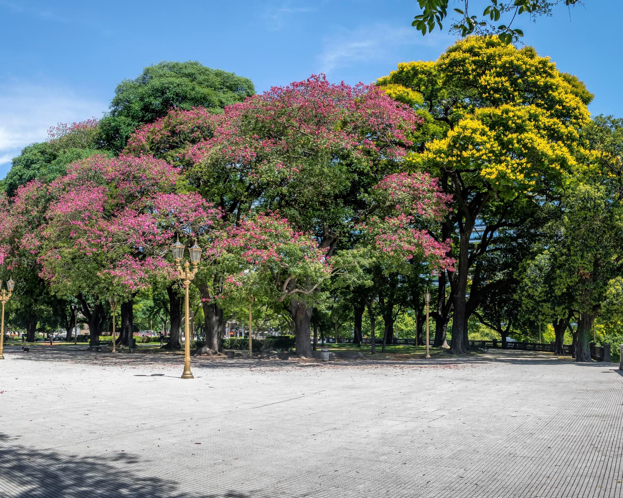 Buenos Aires Promocional 4 días / 3 noches - Hotel 3 *