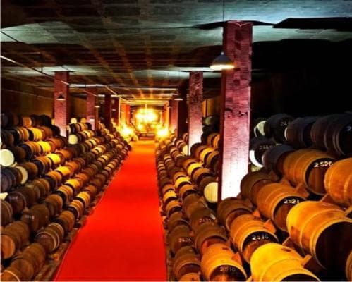 Alojamento Gratuito na Rota da Bairrada