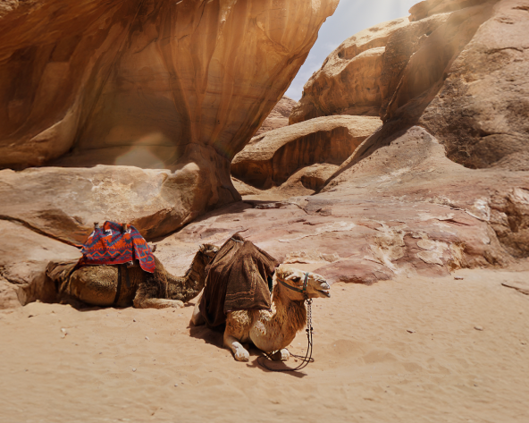 MTPE-20029 EXPLORANDO JORDANIA