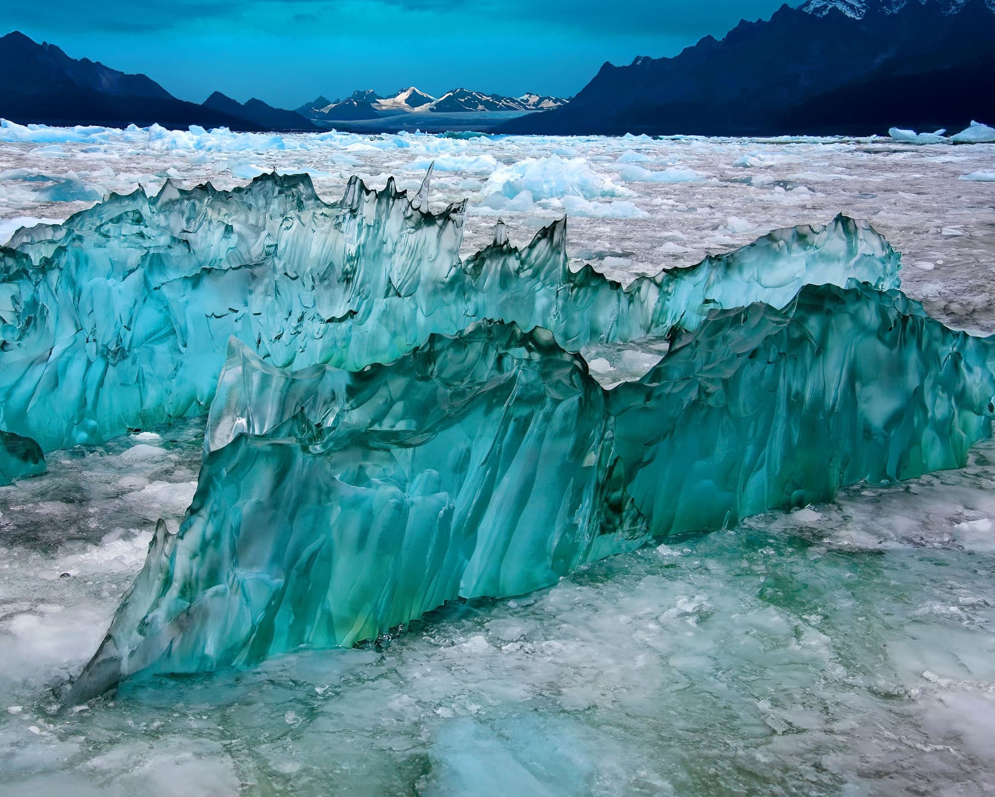 Loberías del Sur Especial Glaciares 