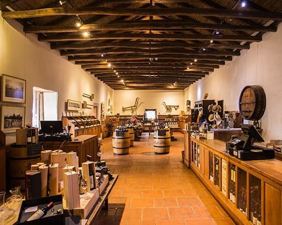 Hotel Almasur Providencia - Excursión a Viña Santa Rita