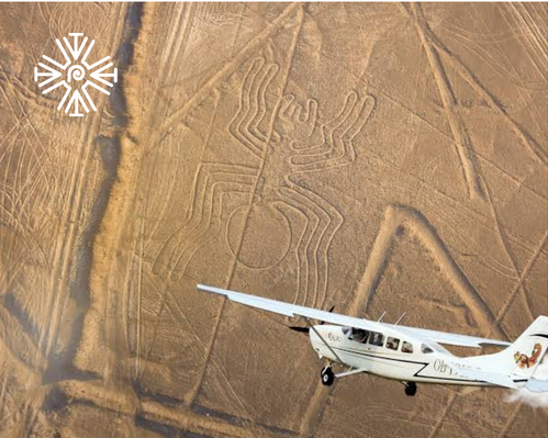 Paracas and Nazca with overflight from Nazca 02 Days / 01 Night