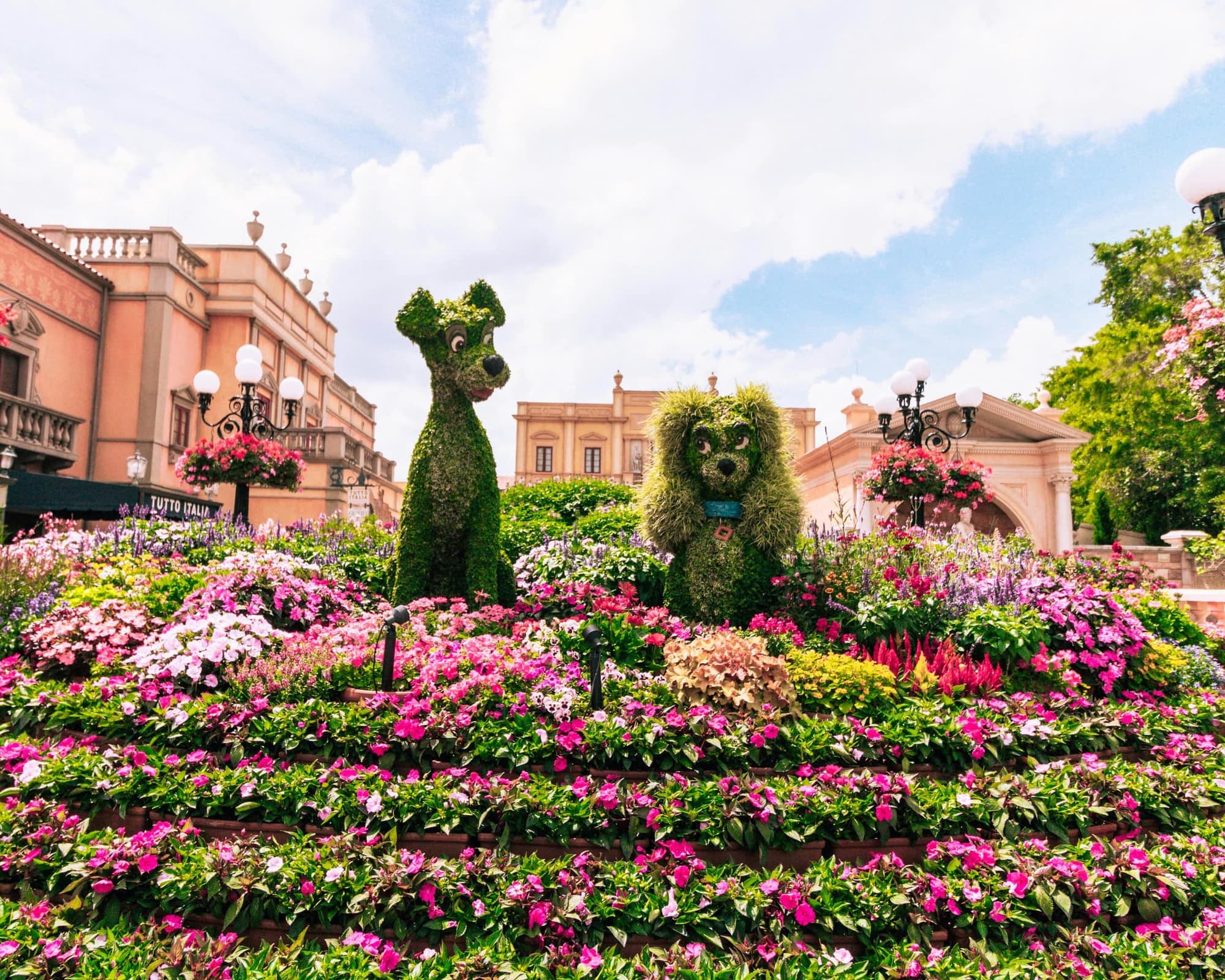  En combo: Universal - Epic Universe - Magic Kingdom