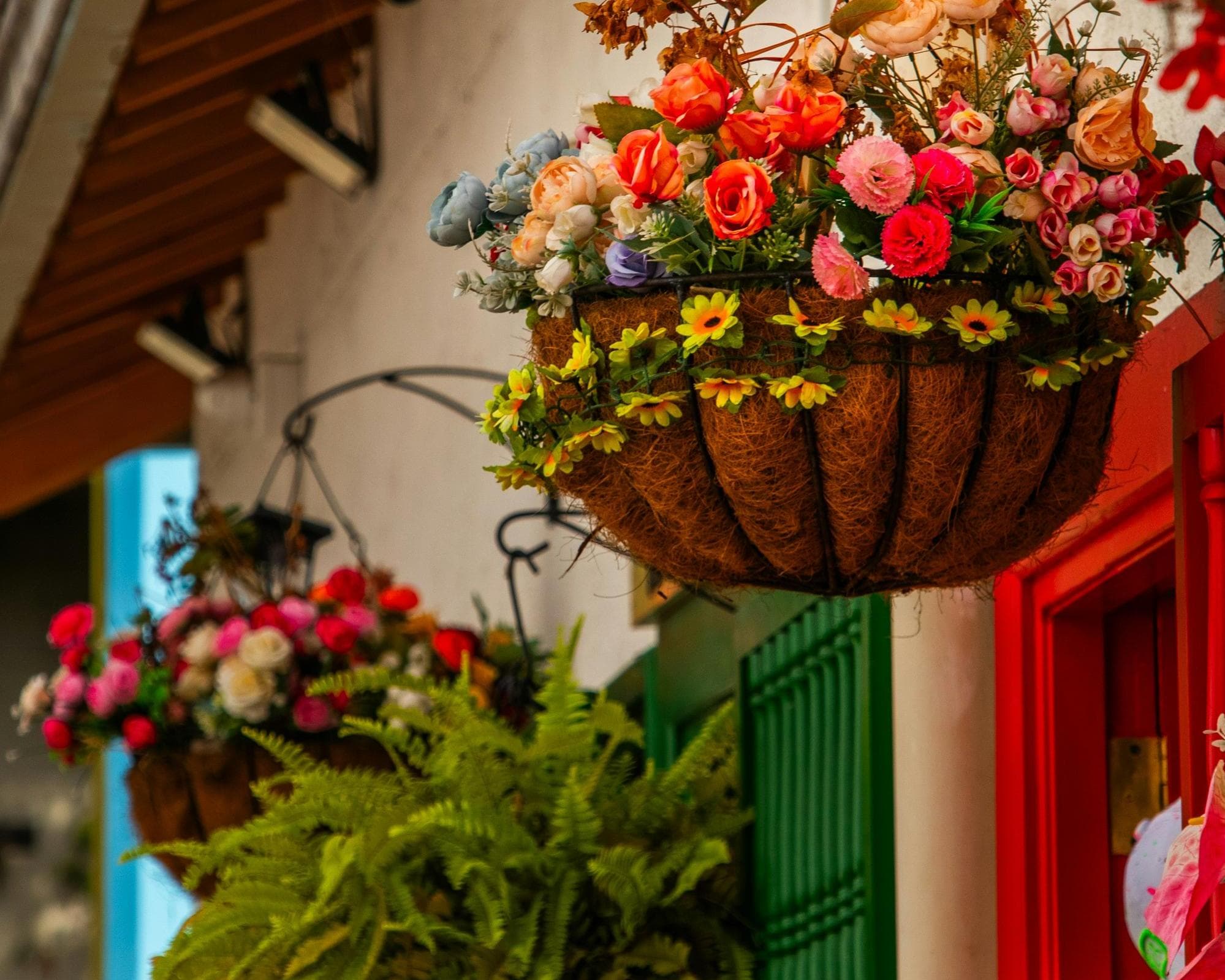 Colombia speciale Capodanno