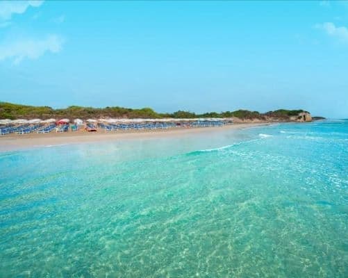 PUGLIA: BRAVO ALIMINI