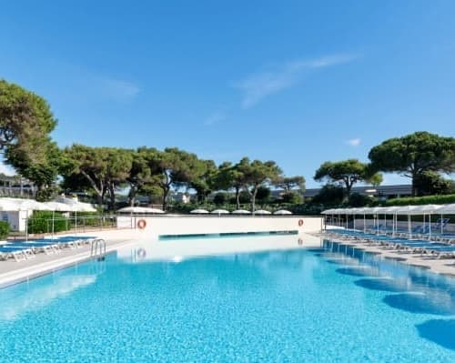 PUGLIA: BRAVO ALIMINI