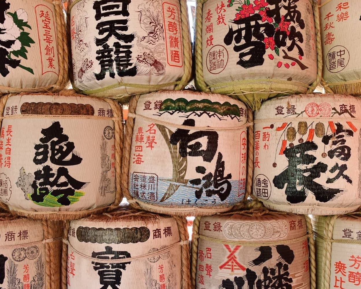 Japan and South Korea Expedition: Between Contrasts