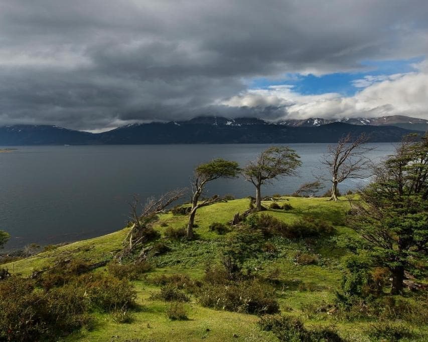  Puerto Williams en Hotel Errante Ecolodge