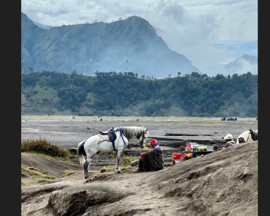 Sonnenaufgangstour "Mount Bromo"