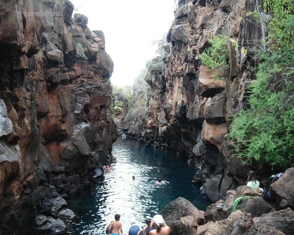 Santa Cruz - Galápagos Insuperable 5D 4N