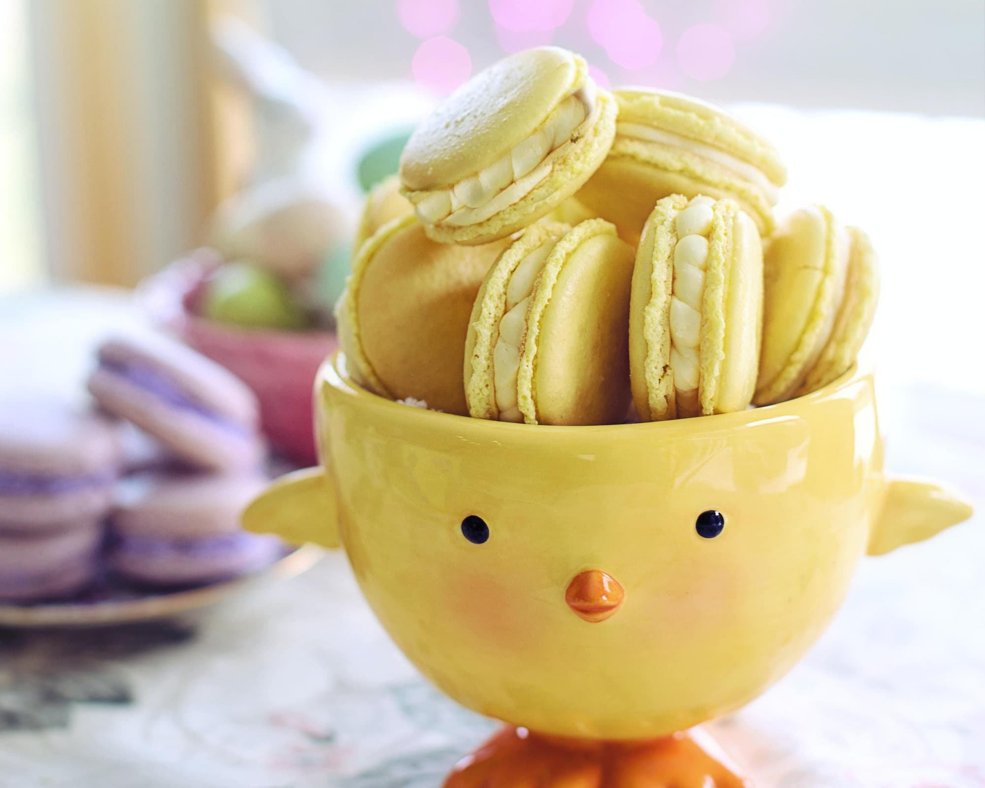 Páscoa - Hotel Baía Grande 4*