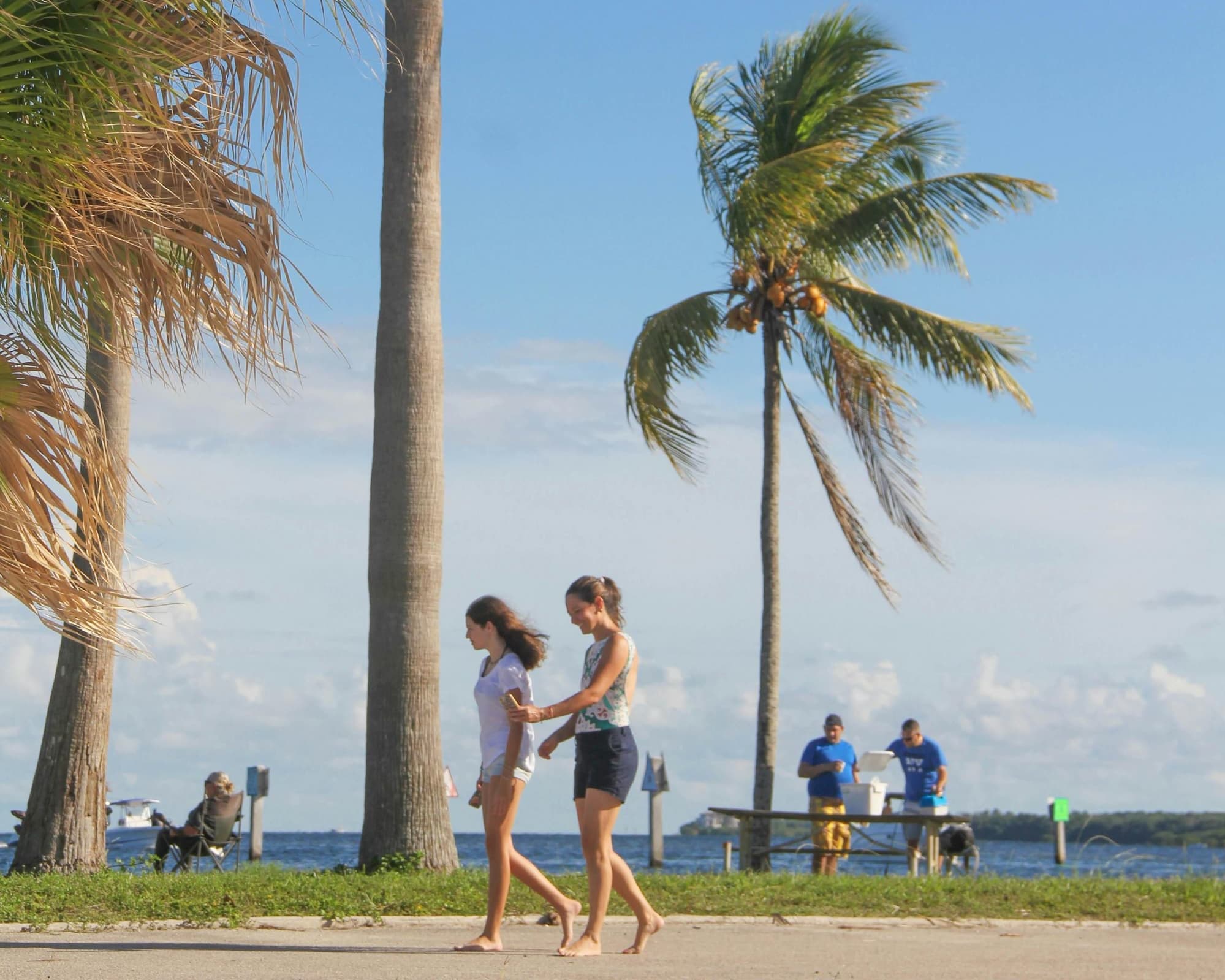 Magic Kingdom: Destino magia