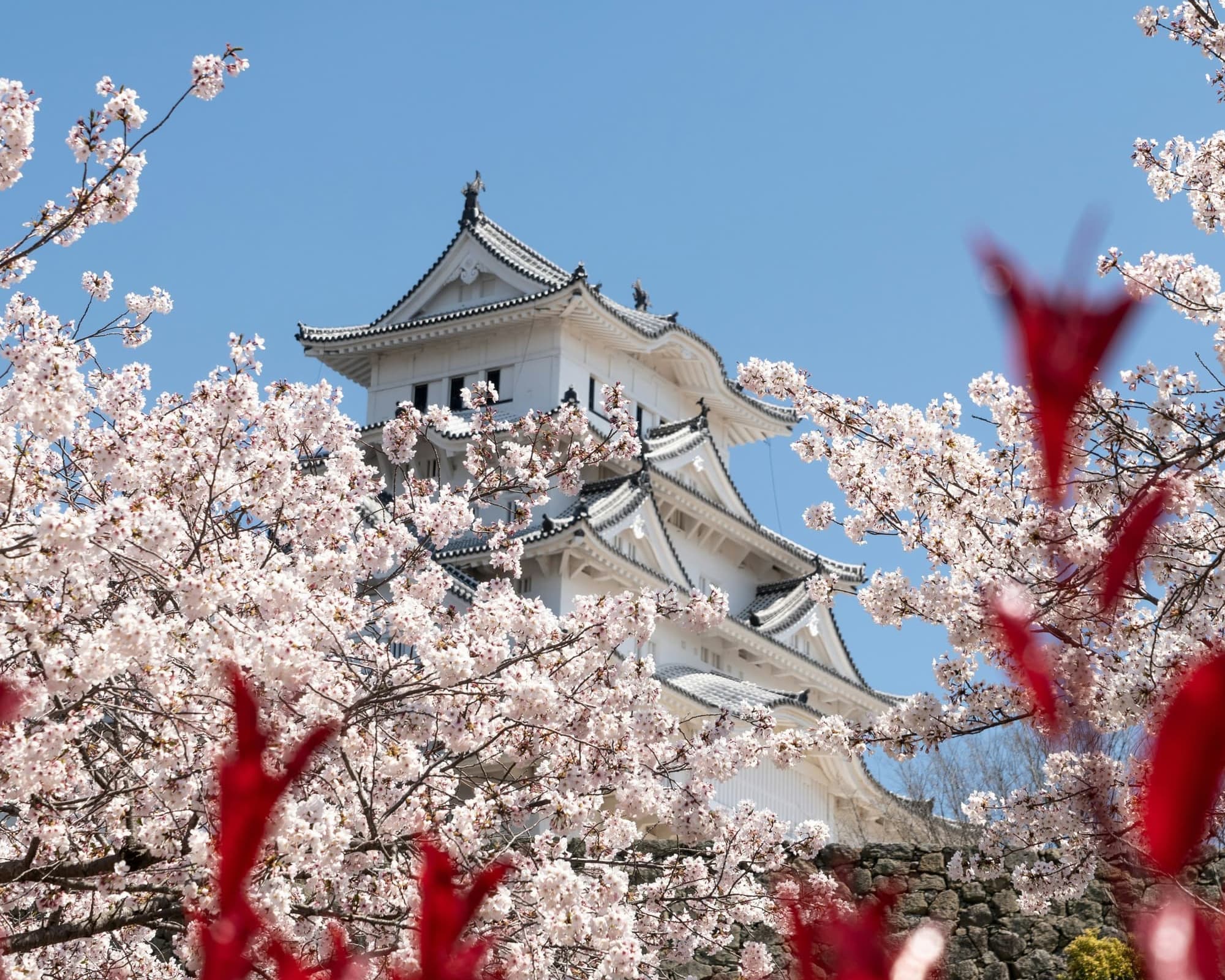 Tour classico del Giappone