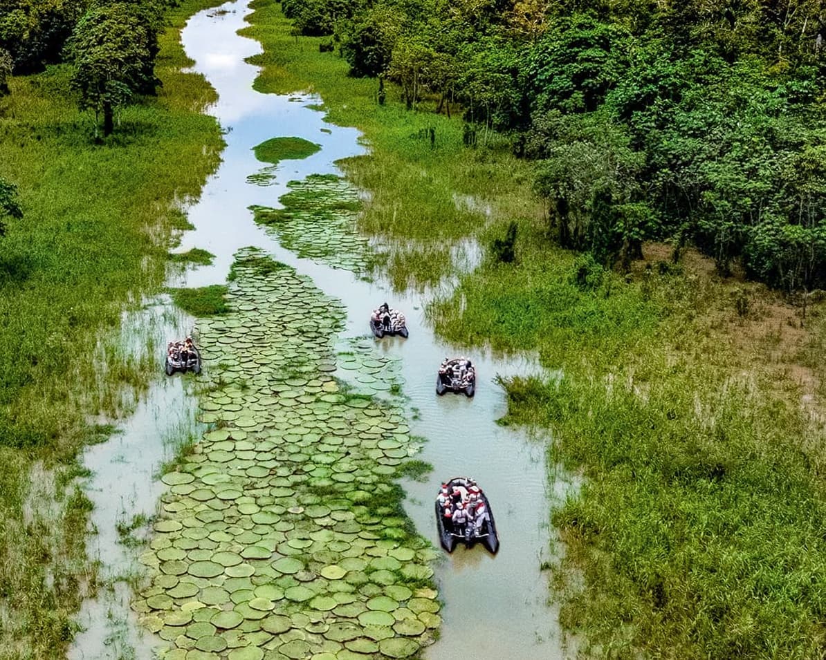 Expedición Amazonas: viaje al corazón verde