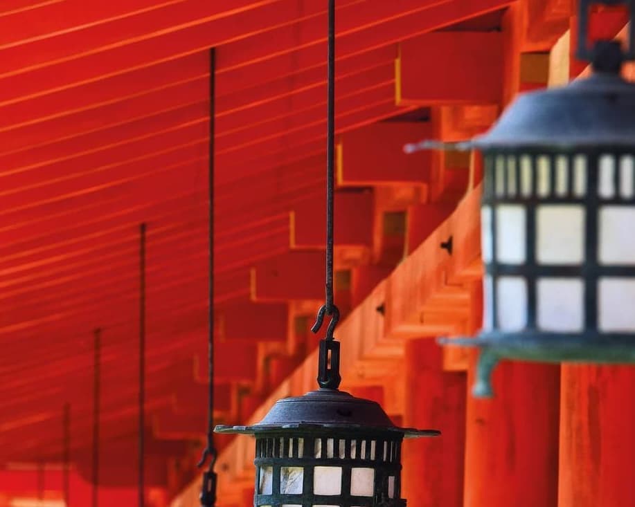 Japan and South Korea Expedition: Between Contrasts