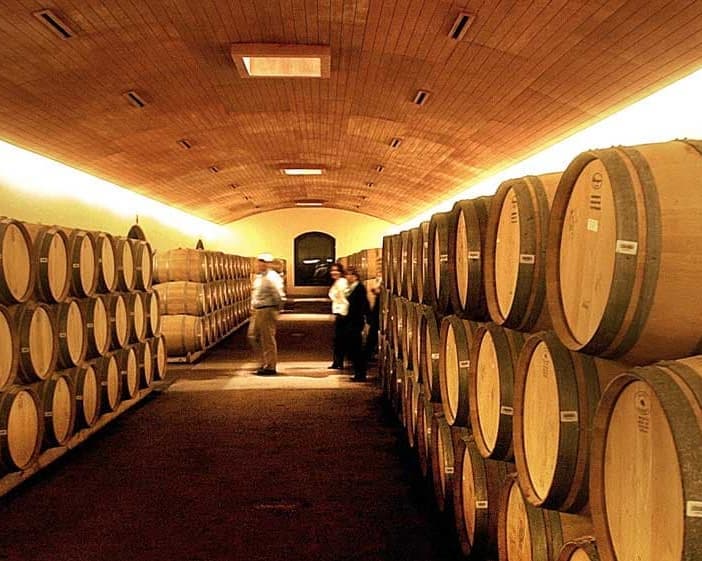 Excursión de medio día a los viñedos de Concha y Toro Marqués